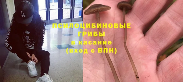 ALPHA PVP Белокуриха