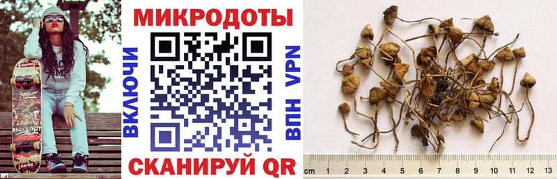 Псилоцибиновые грибы мухоморы  Краснокаменск 